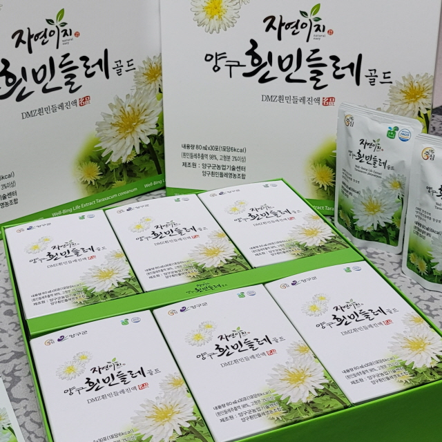 양구 흰민들레 영농조합법인,(강원ON)양구흰민들레진액 골드 2박스
